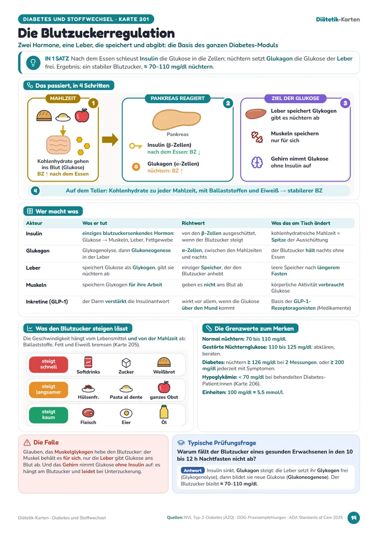 Karte aus dem Modul Diabetes und Stoffwechsel